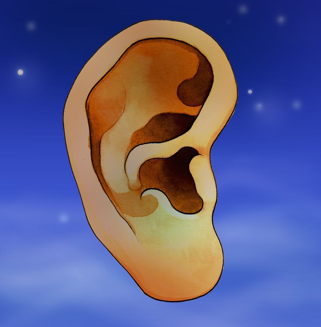 orecchio auricoloterapia