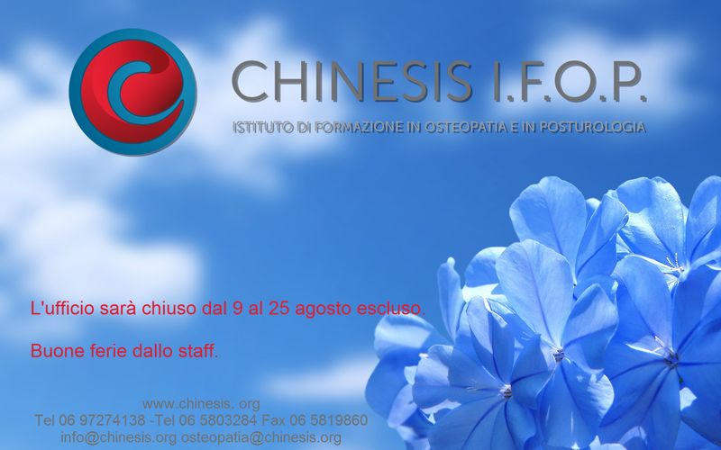 blue-flowers-desktop-wallpaper-on-latoro-design-wedding-flower-photos-purple